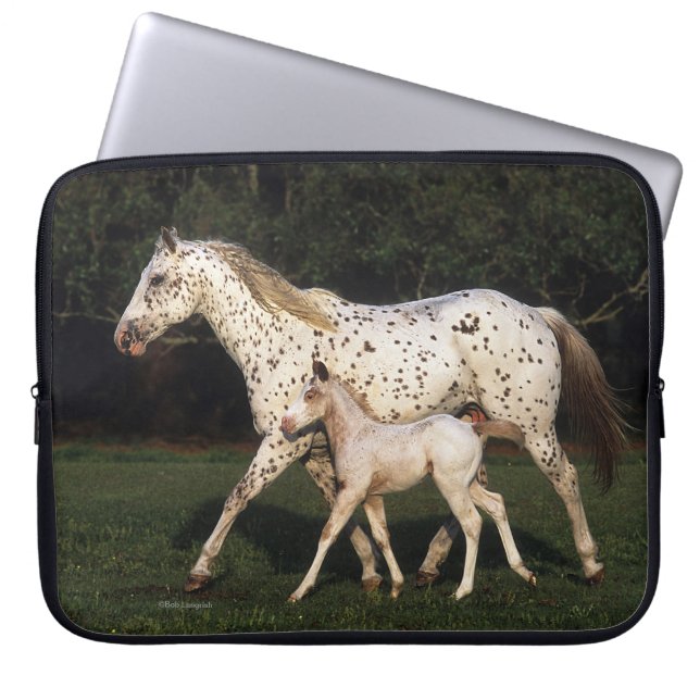 Housse Pour Ordinateur Portable Jument et poulain d'Appaloosa dans le domaine (Devant)