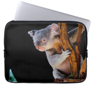 Housse Pour Ordinateur Portable Koala Cute en gris arbre