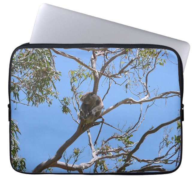 Housse Pour Ordinateur Portable Koala Nap (Devant)