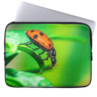 Housse Pour Ordinateur Portable Ladybug Macro Laptop Sleeve | Nature Tech Pouch