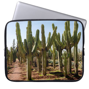 Housse Pour Ordinateur Portable Le jardin des cactus. De grands cactus verts et de