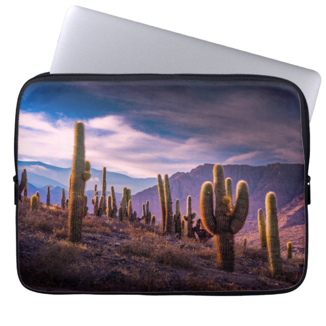 Housse Pour Ordinateur Portable Les déserts | Cactus Paysage Argentine (Devant)