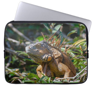 Housse Pour Ordinateur Portable Lizard Photographie, Orange Iguana
