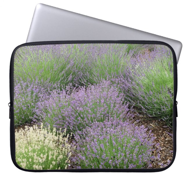 Housse Pour Ordinateur Portable Lovely Lavender (Devant)