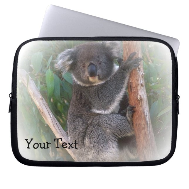 Housse Pour Ordinateur Portable Manche de portable Koala Bear (Devant)