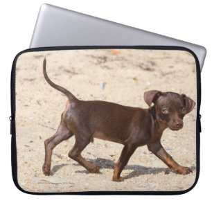 Housse Pour Ordinateur Portable Marche de chiot de chiwawa