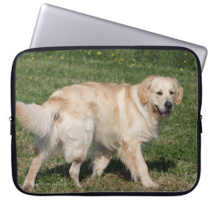 Housse Pour Ordinateur Portable Marche de golden retriever
