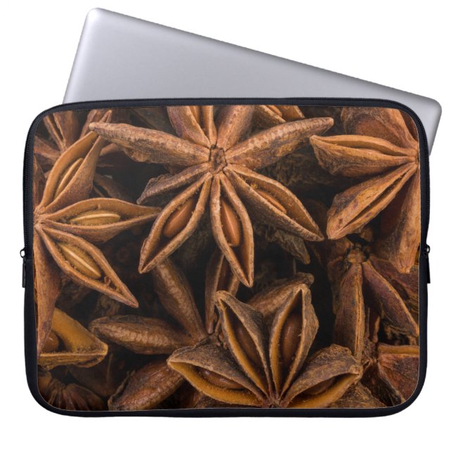 Housse Pour Ordinateur Portable Motif Anise Stars (Devant)
