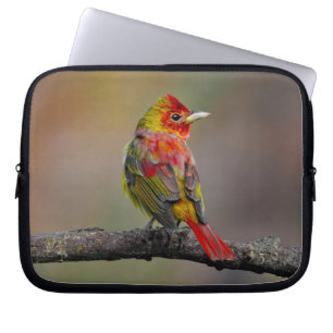 Housse Pour Ordinateur Portable Moulage de Tangère - Photo originale