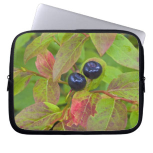 Housse Pour Ordinateur Portable Myrtille mûre dans le Flathead National