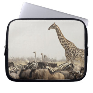 Housse Pour Ordinateur Portable Namibie, parc national d'Etosha. Une girafe solita