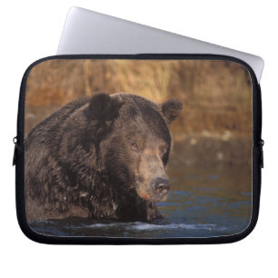 Housse Pour Ordinateur Portable ours brun, Ursus arctos, grizzly, Ursus 5
