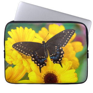 Housse Pour Ordinateur Portable Papillon Papilio polyxenes