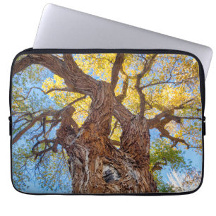 Housse Pour Ordinateur Portable Parc national de Capitol Reef, arbre Cottonwood