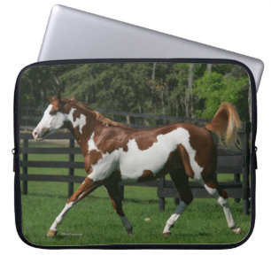 Housse Pour Ordinateur Portable Peignez le cheval courant 1