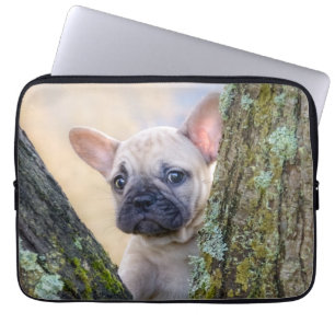 Housse Pour Ordinateur Portable Petit Chien à Chien à Chien à Chien à Chien à Pose