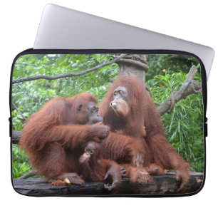 Housse Pour Ordinateur Portable Petit déjeuner avec le zoo de Singapour Orangutans