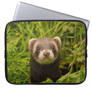 Housse Pour Ordinateur Portable Photo de furet brun mignon dans l'herbe
