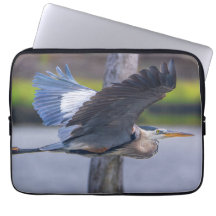 Photographie de faune et de la Grande Aigrette en 