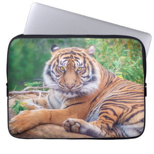 Housse Pour Ordinateur Portable Photographie époustouflante de tigre couché
