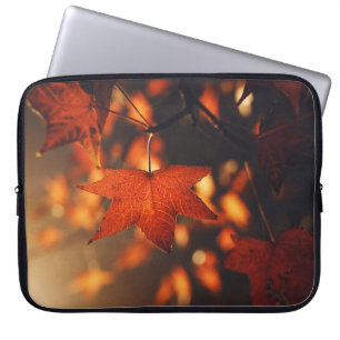 Housse Pour Ordinateur Portable PLANTES Brown LEAFED