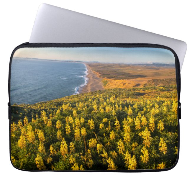 Housse Pour Ordinateur Portable Point Reyes National Seashore California (Devant)