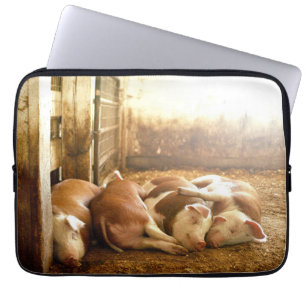 Housse Pour Ordinateur Portable Porcs se blottissants des images de Getty
