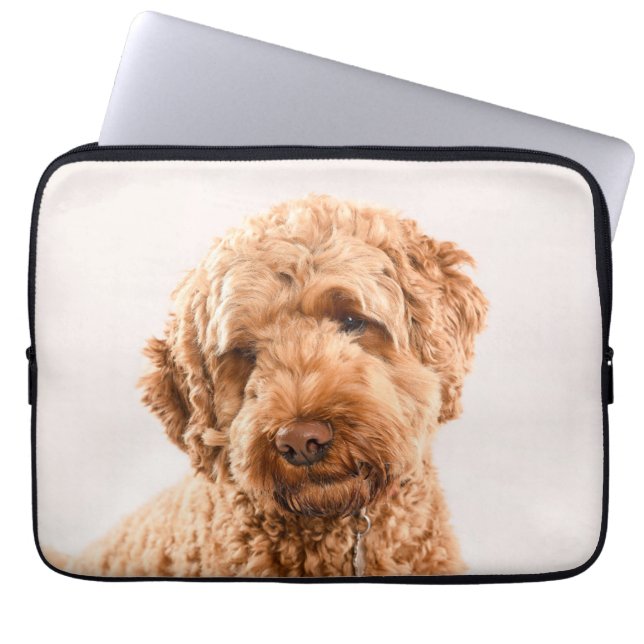 Housse Pour Ordinateur Portable Portrait de Goldendoodle Studio (Devant)