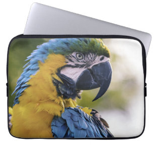 Housse Pour Ordinateur Portable Portrait du profil de la perroquet macaw