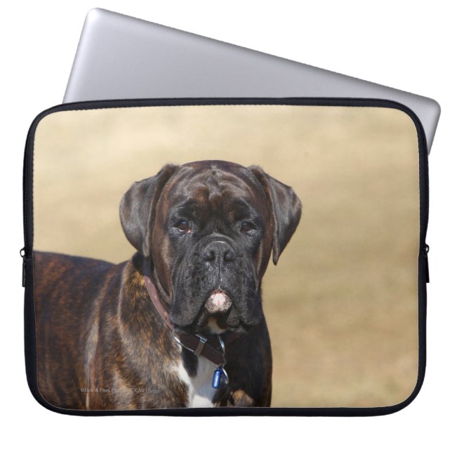 Housse Pour Ordinateur Portable Position Brindle de chien de boxeur (Devant)
