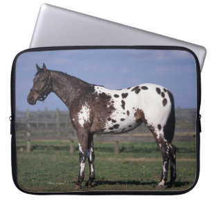 Housse Pour Ordinateur Portable Position de cheval d'Appaloosa