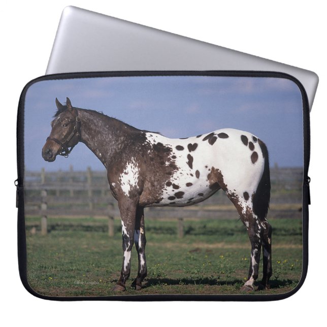 Housse Pour Ordinateur Portable Position de cheval d'Appaloosa (Devant)