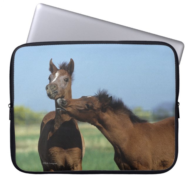 Housse Pour Ordinateur Portable Poulains jouant 2 (Devant)