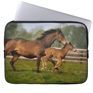 Housse Pour Ordinateur Portable Poulinière Alezan Pur Sang et Poulain