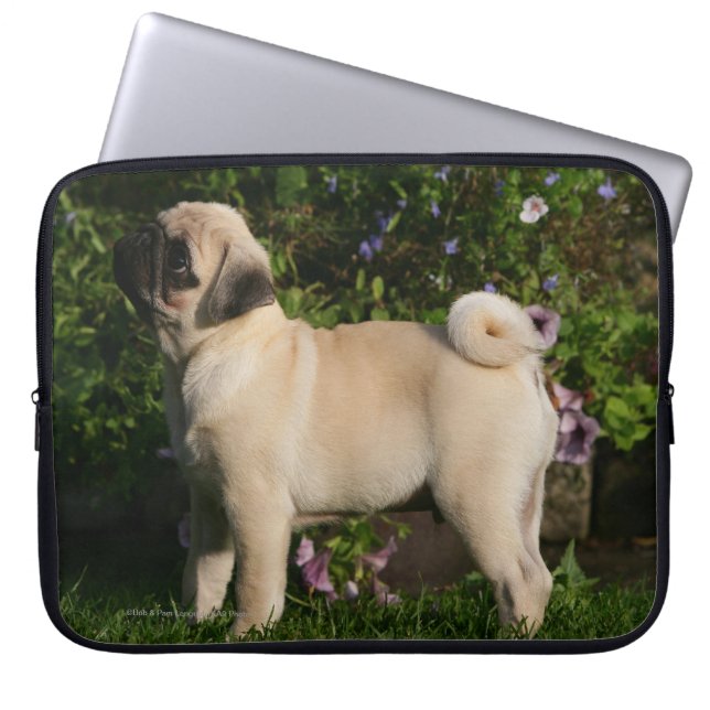 Housse Pour Ordinateur Portable Profil de carlin de faon (Devant)