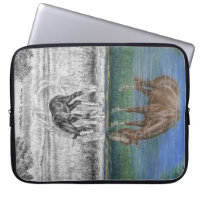 Réflexion de l'eau du poulal du cheval