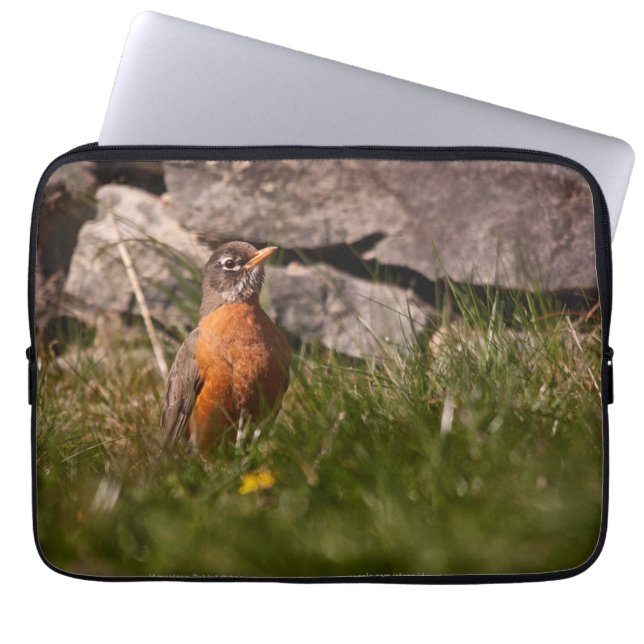 Housse Pour Ordinateur Portable Robin américain (Devant)