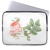 Rose Pink Redouté Vintage