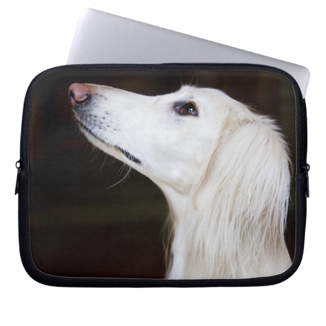 Housse Pour Ordinateur Portable Saluki recherchant (Devant)