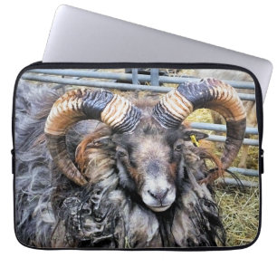 HOUSSE POUR ORDINATEUR PORTABLE SHEEP