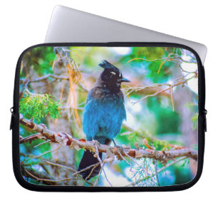 Housse Pour Ordinateur Portable Steller's Jay - Photographie originale