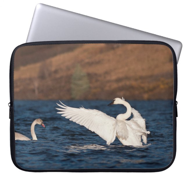 Housse Pour Ordinateur Portable Swan (Devant)