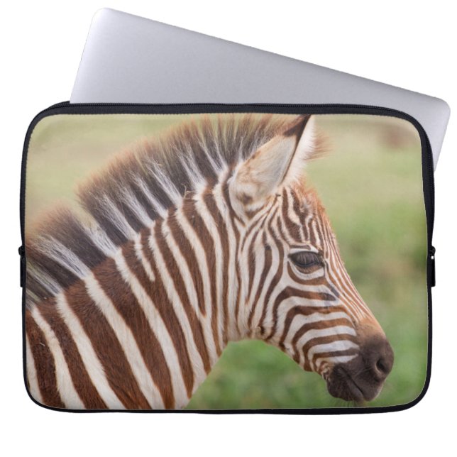 Housse Pour Ordinateur Portable Tête de bébé zébrée, Tanzanie (Devant)