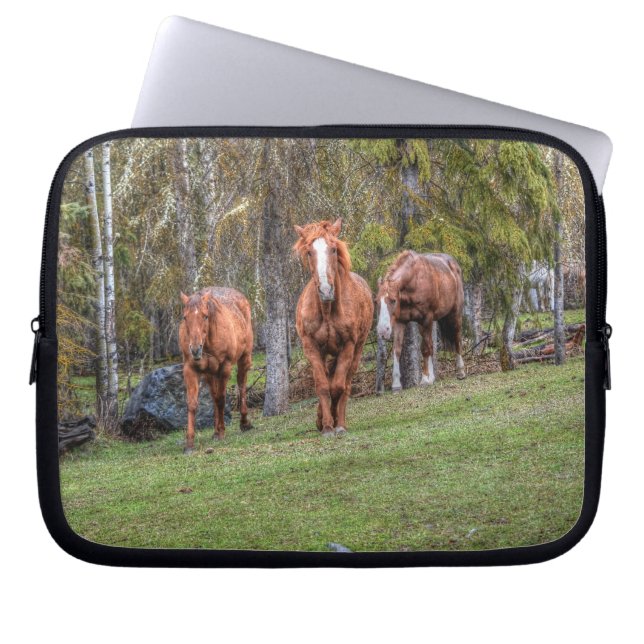 Housse Pour Ordinateur Portable Trois Chevaux Châtaignes et Canons Forêt de photo  (Devant)