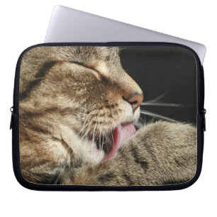 Housse Pour Ordinateur Portable Un chat tabby lèche sa patte.