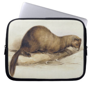 Housse Pour Ordinateur Portable Une belette, 1832 (la semaine, ove de stylo,