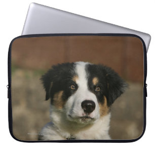 Housse Pour Ordinateur Portable Vieux Headshot de chiot de border collie de 12