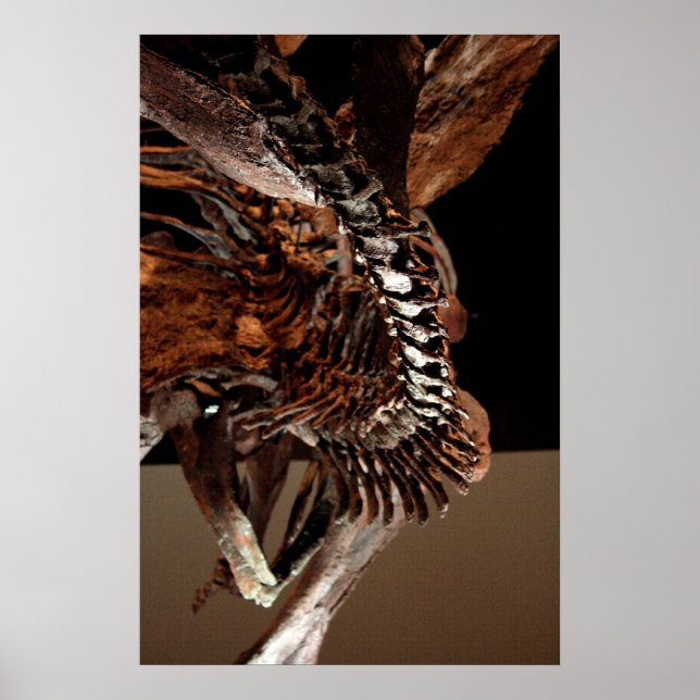 Houston Museum of Natural Science Poster (Front)