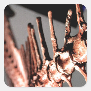 Houston Museum of Natural Science Square Sticker