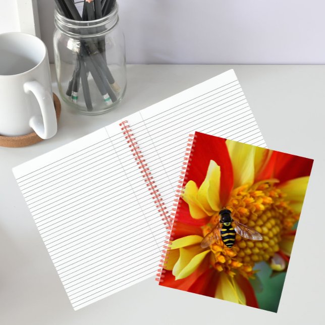 Hover Fly on Orange and Yellow Dahlia Notebook (In Situ)